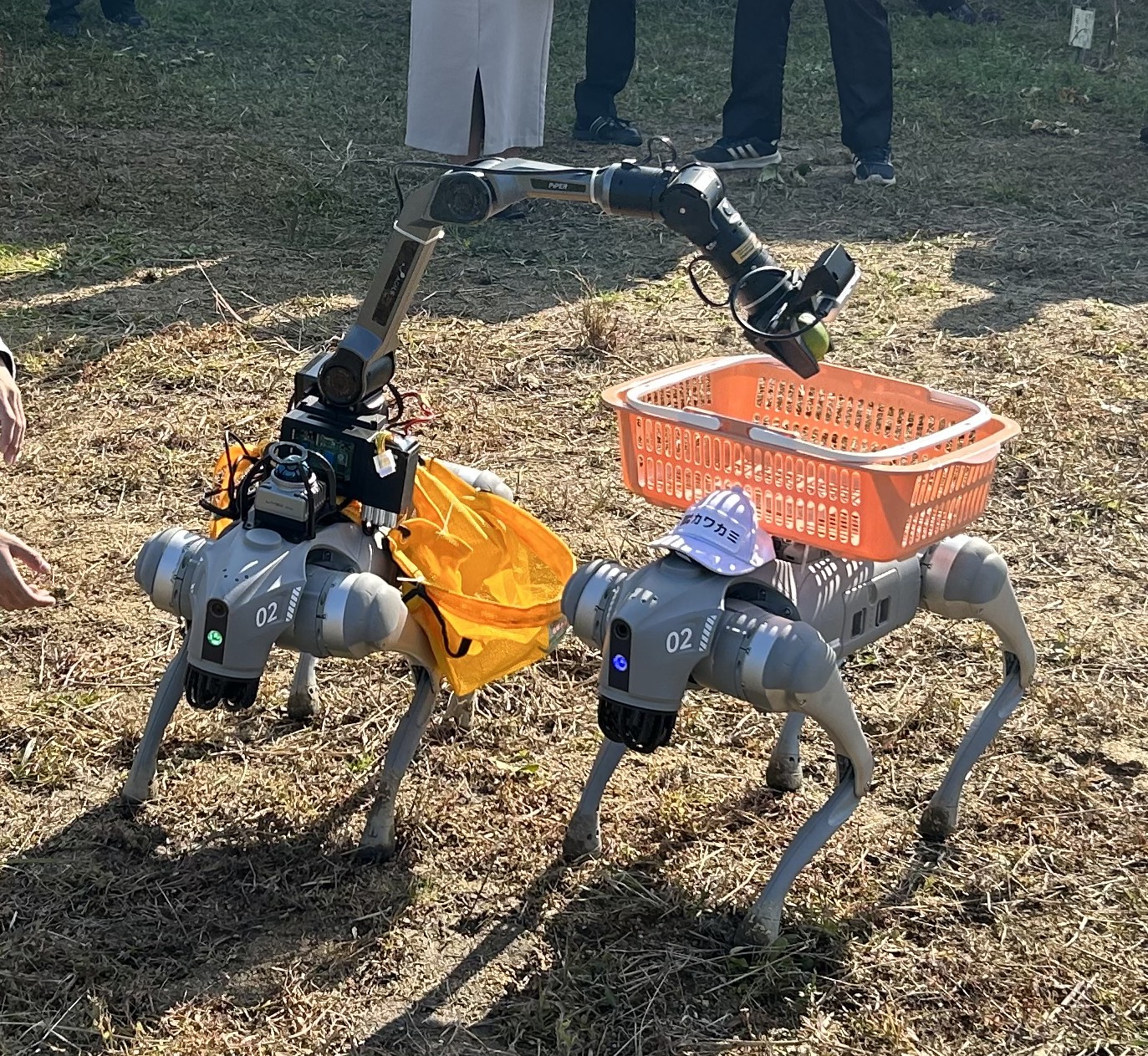 犬型ロボットによるレモン自動収穫に向けて_#1