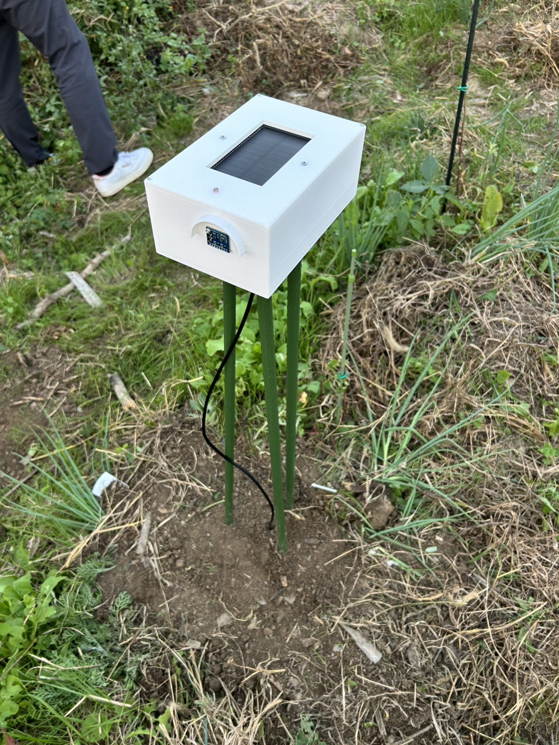 岡山大学農園のDX化へ向けて_#1